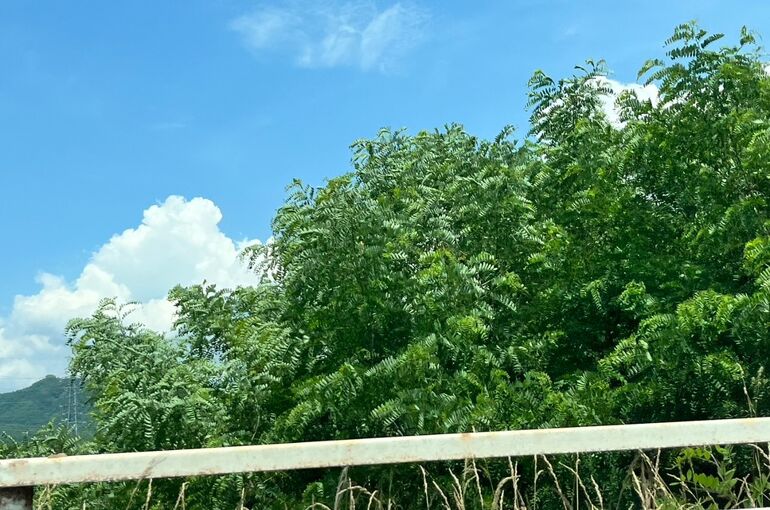 LINE_ALBUM_SNS用_240620_7