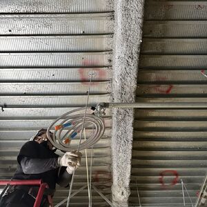 S__110649358_0